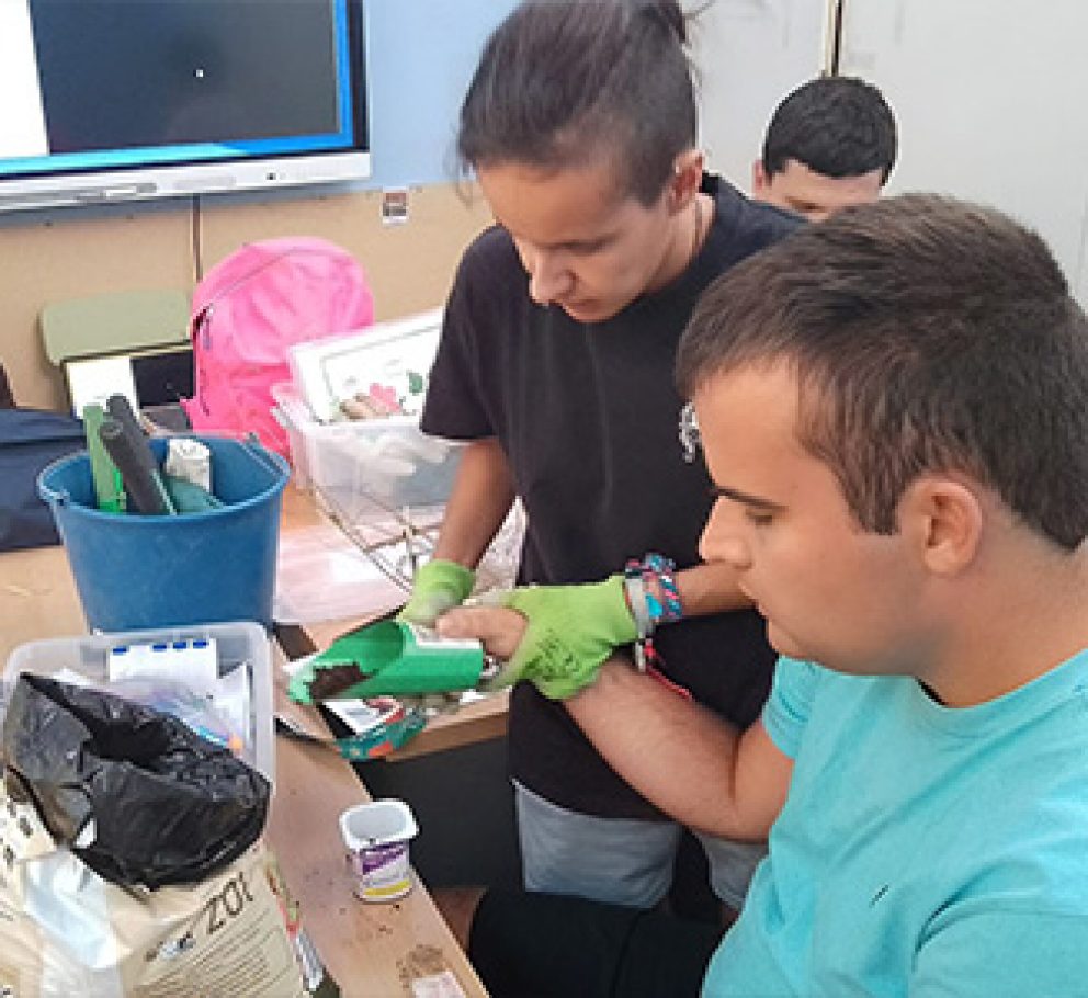 Proyecto "Oportunidades que si cuentan" para la inclusion de personas con autismo 